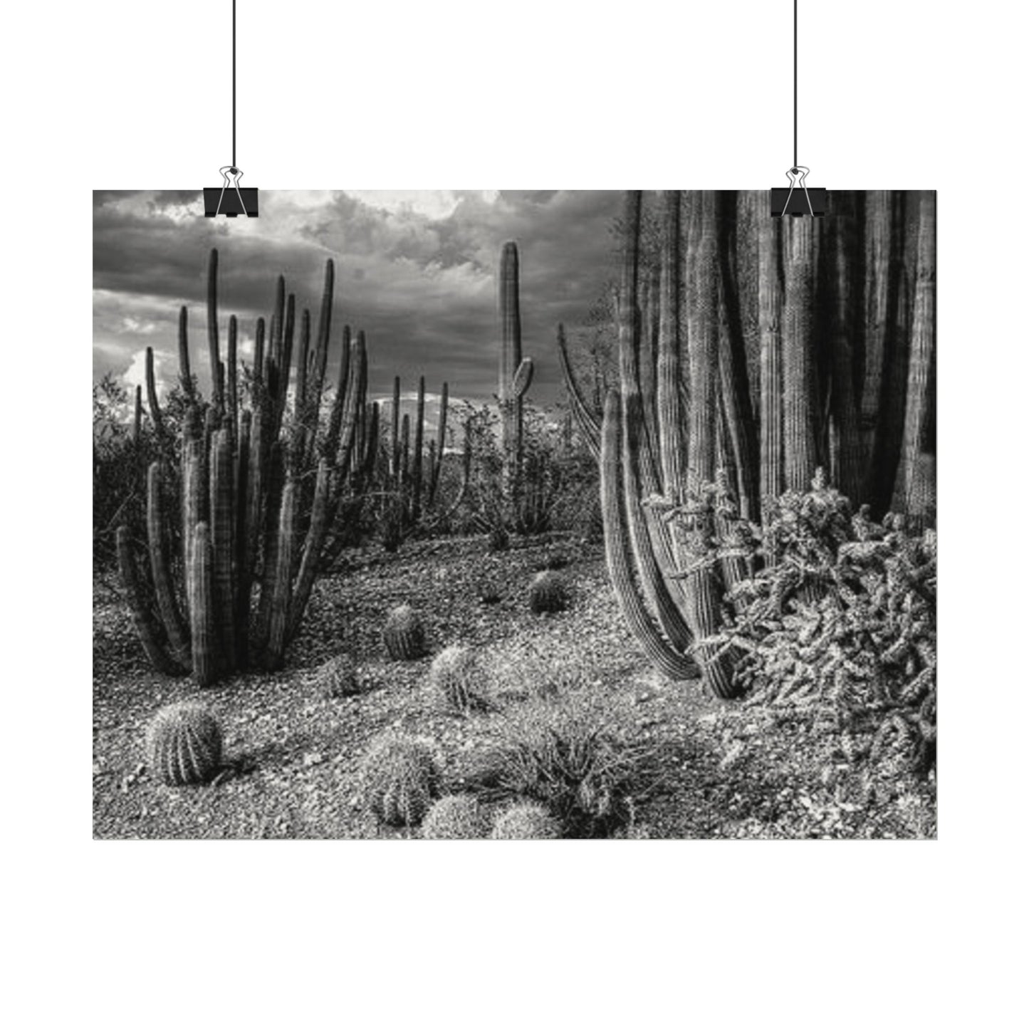 Desert Wastelands – Western Textured Watercolor Matte Posters