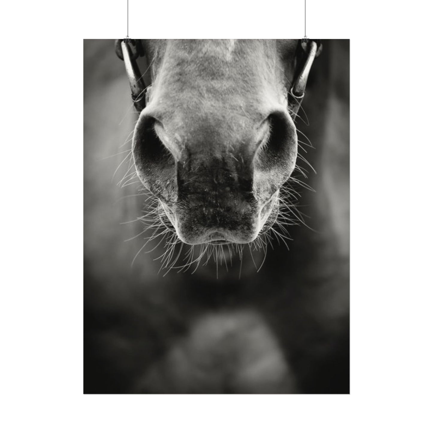 Be Patient Be Still – Western Textured Watercolor Matte Posters