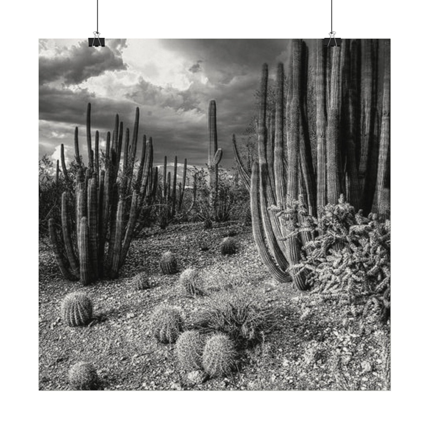 Desert Wastelands – Western Textured Watercolor Matte Posters