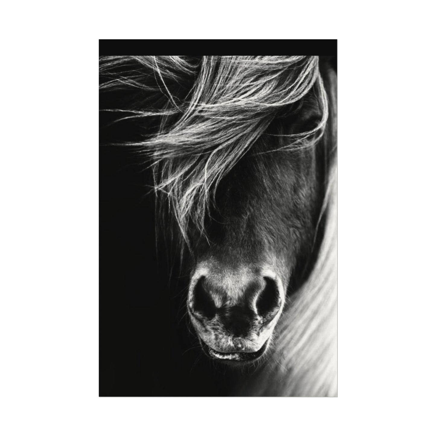 Wild Winds – Western Textured Watercolor Matte Posters