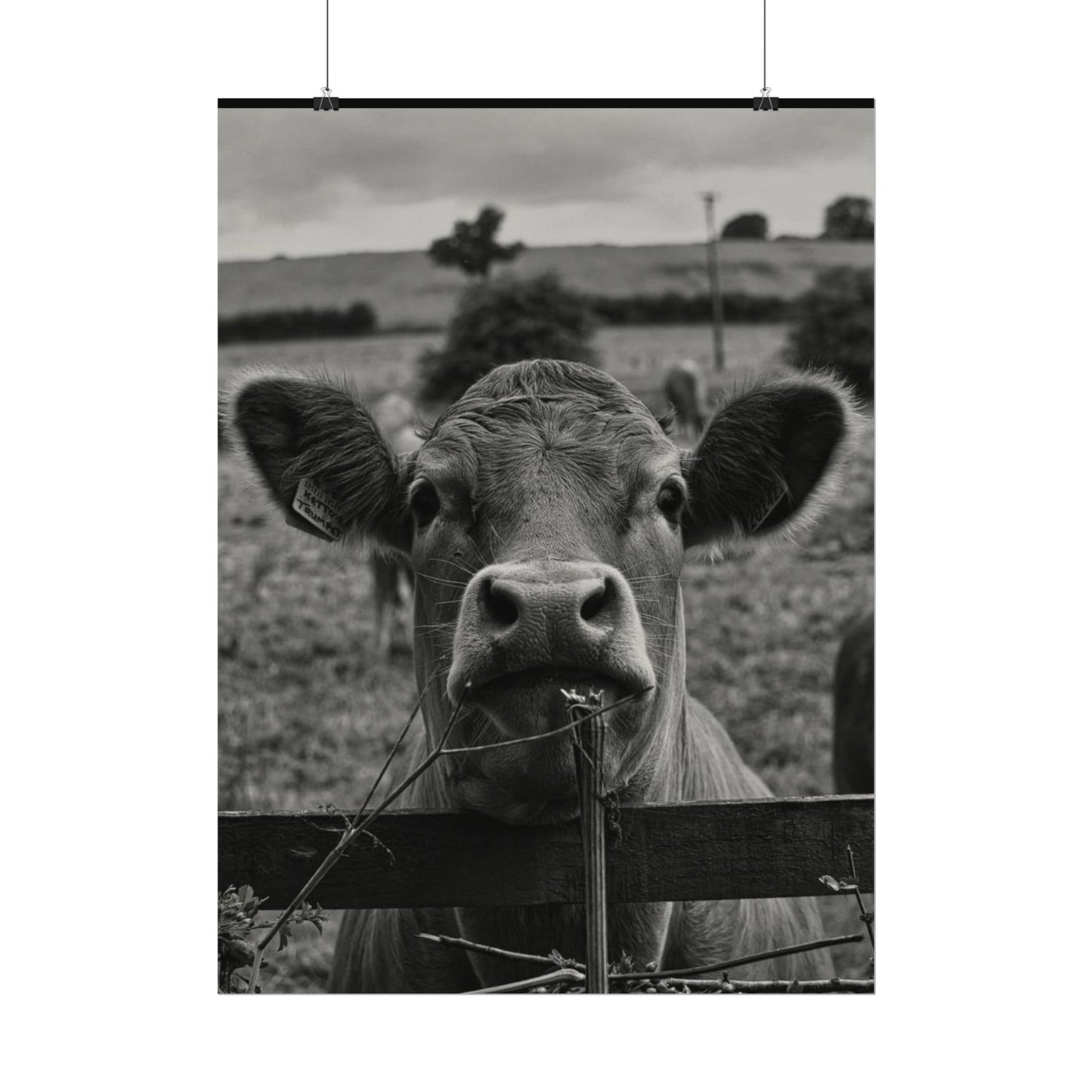 Rise & Shine – Western Textured Watercolor Matte Posters