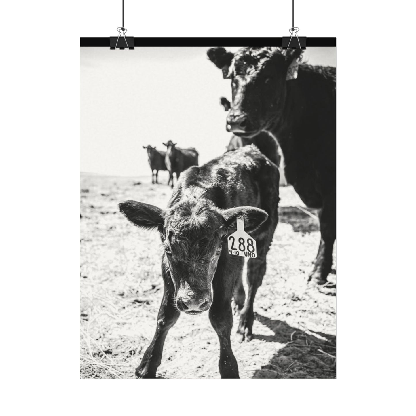 The Standing Legacy – Western Textured Watercolor Matte Posters