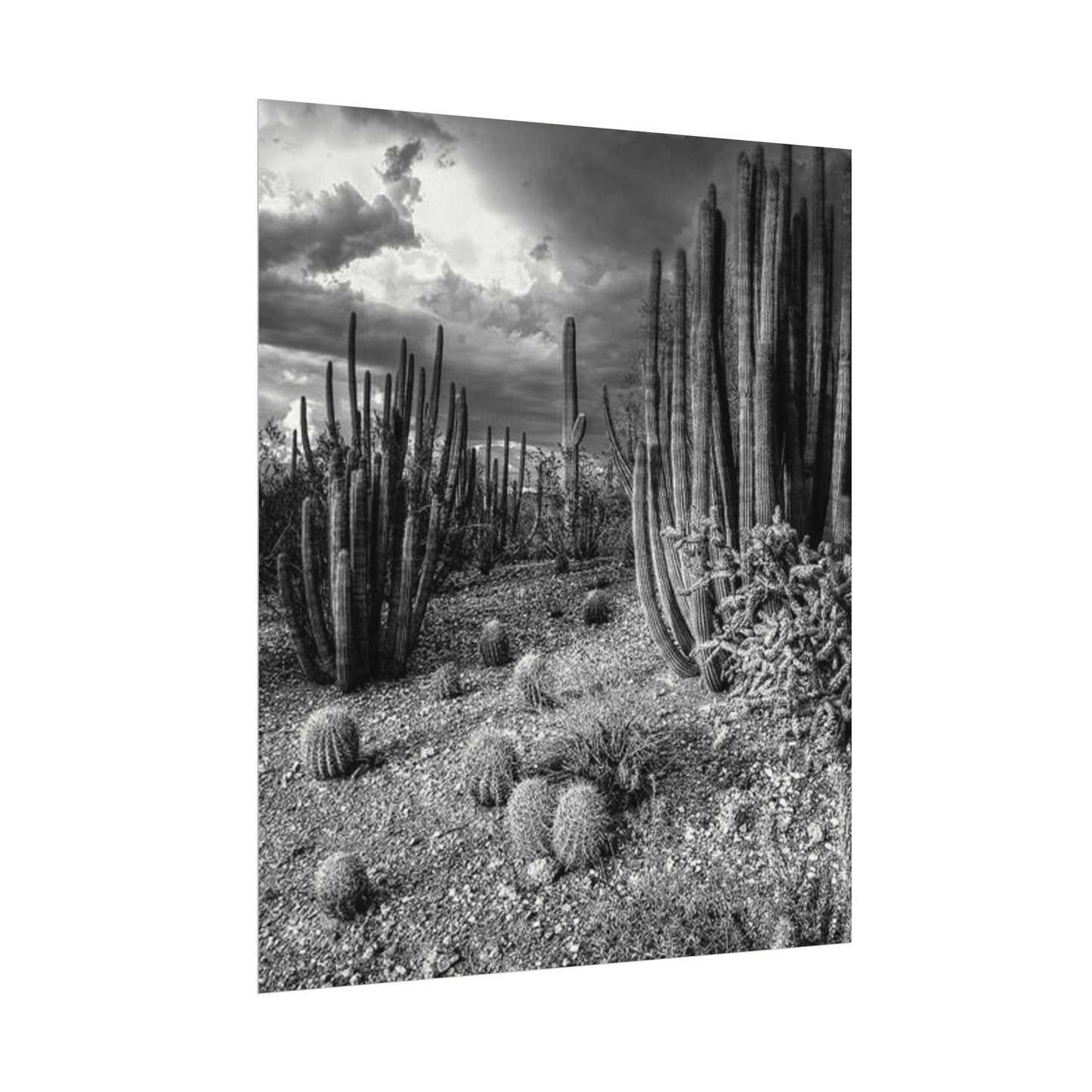 Desert Wastelands – Western Textured Watercolor Matte Posters