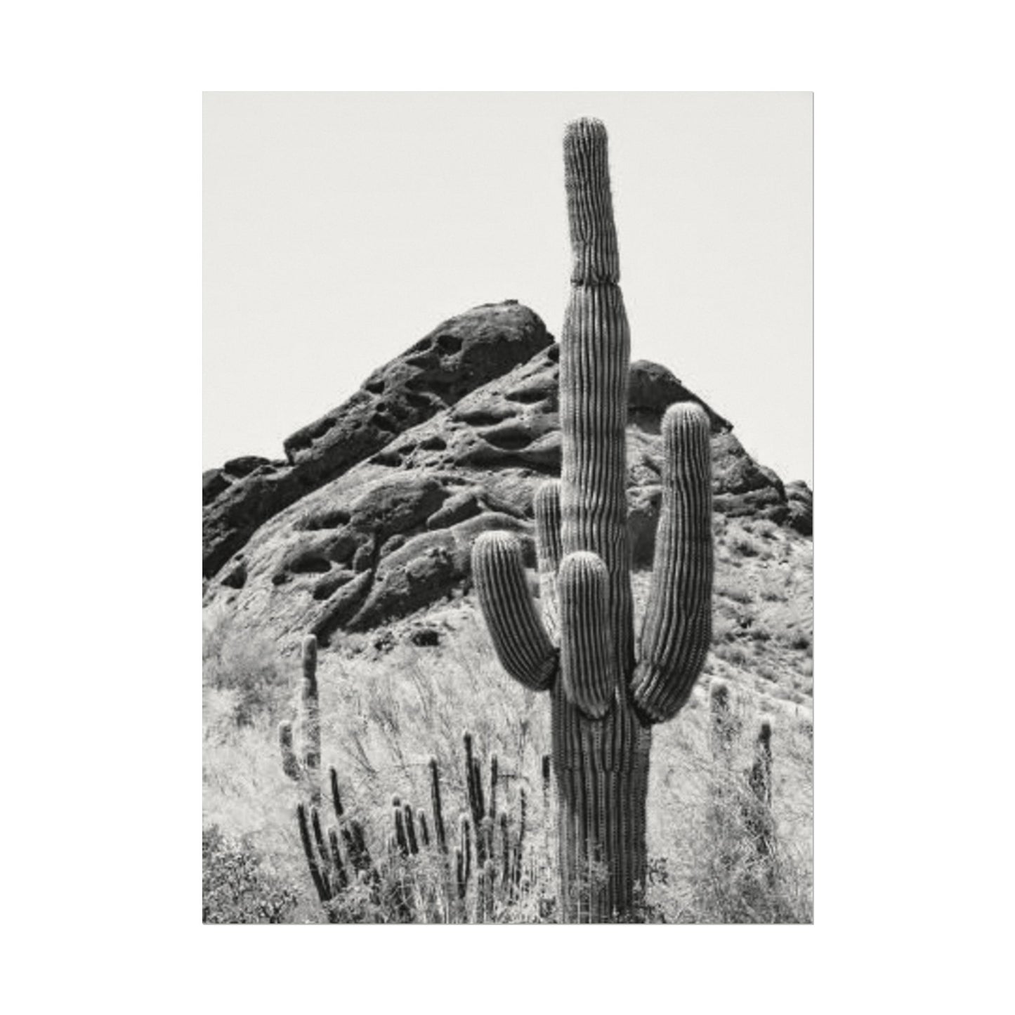 Reach For The Sky – Western Textured Watercolor Matte Posters