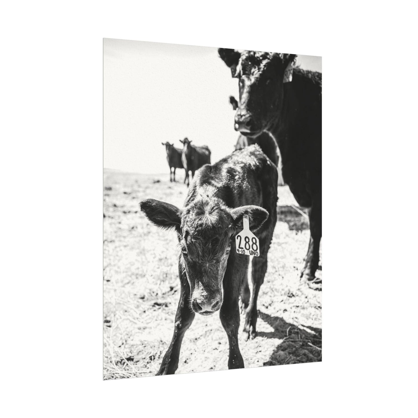 The Standing Legacy – Western Textured Watercolor Matte Posters