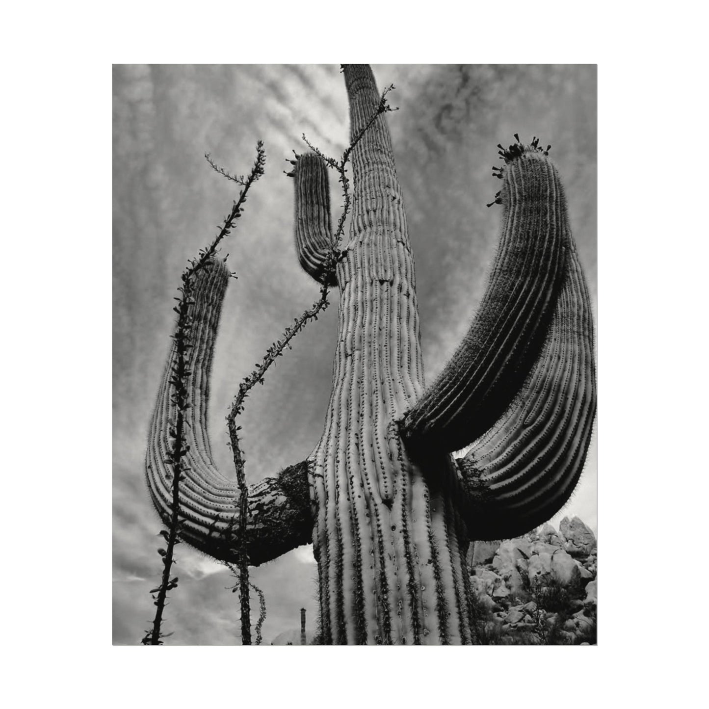 Desert Heights – Western Textured Watercolor Matte Posters