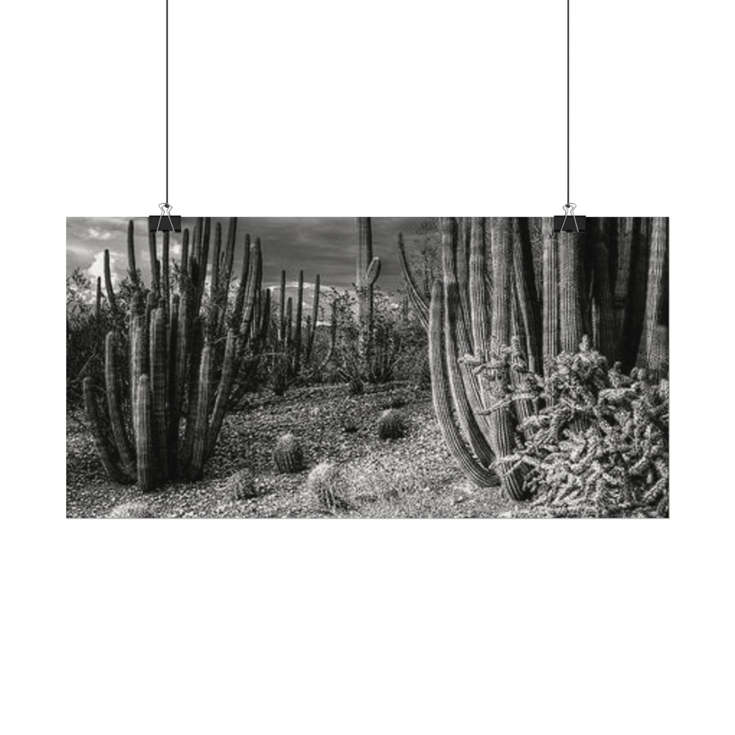 Desert Wastelands – Western Textured Watercolor Matte Posters