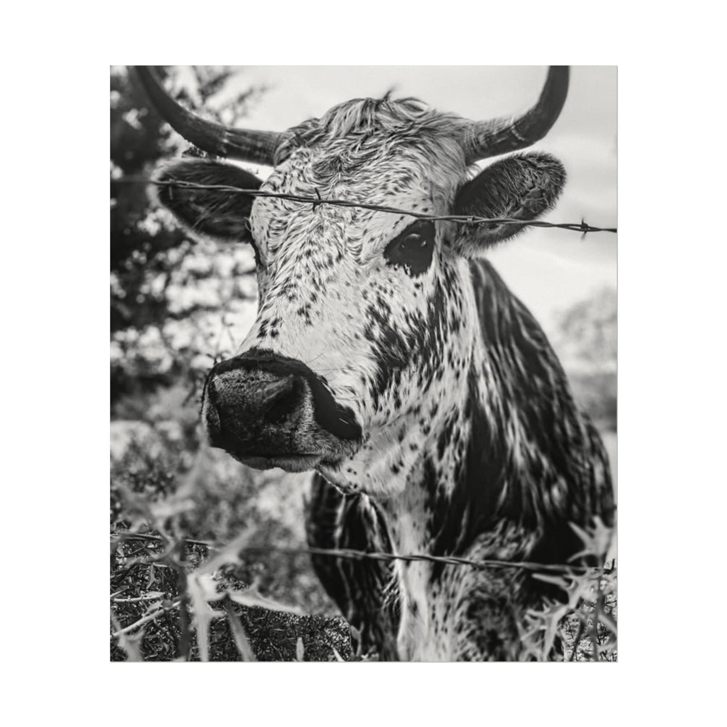 Barbed & Brave Western Textured Watercolor Matte Posters