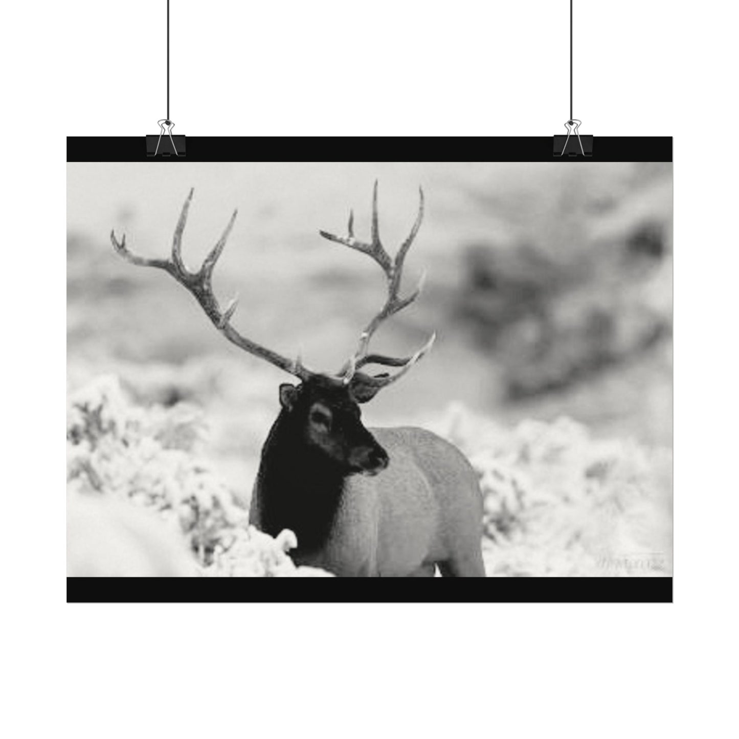 Majesty Of The North– Western Textured Watercolor Matte Posters