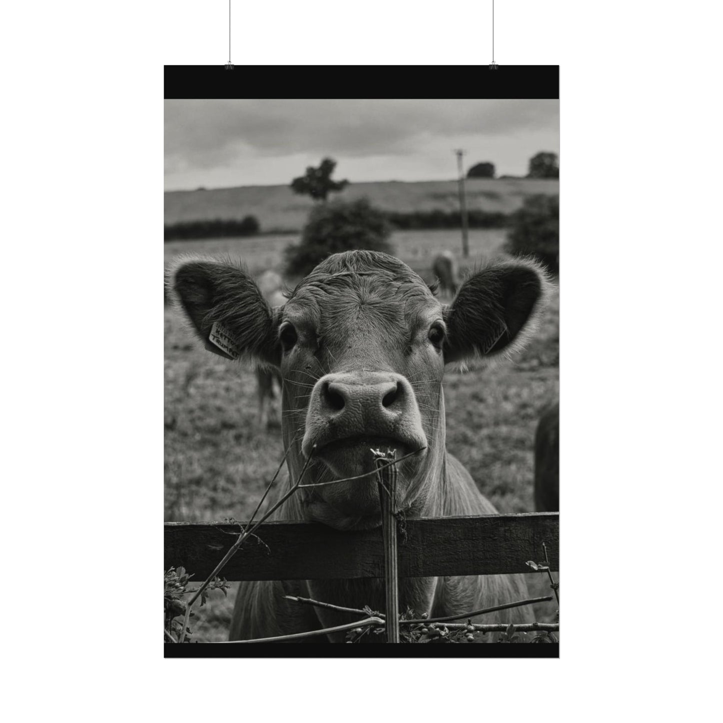 Rise & Shine – Western Textured Watercolor Matte Posters