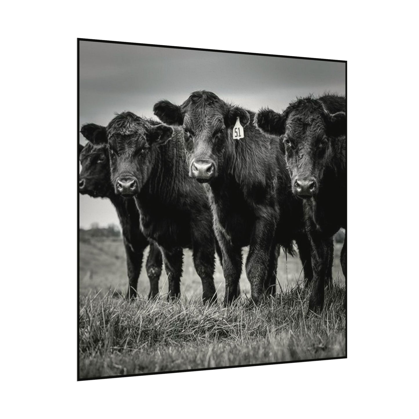 The Grazing Crew – Western Textured Watercolor Matte Posters