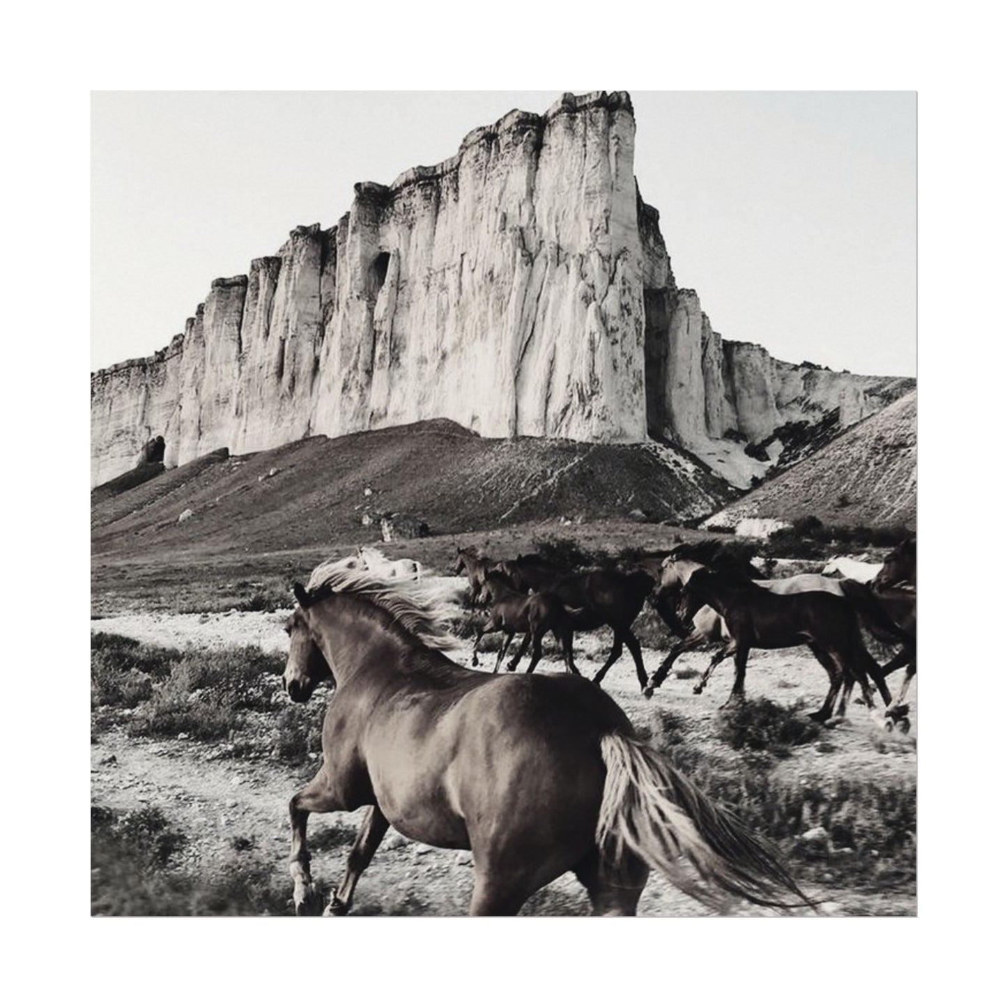 Untamed Spirit– Western Textured Watercolor Matte Posters