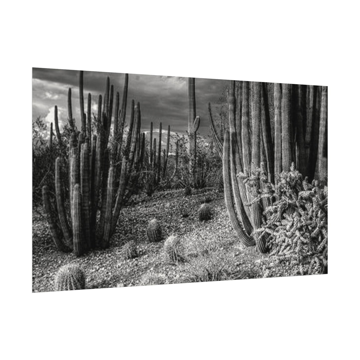 Desert Wastelands – Western Textured Watercolor Matte Posters