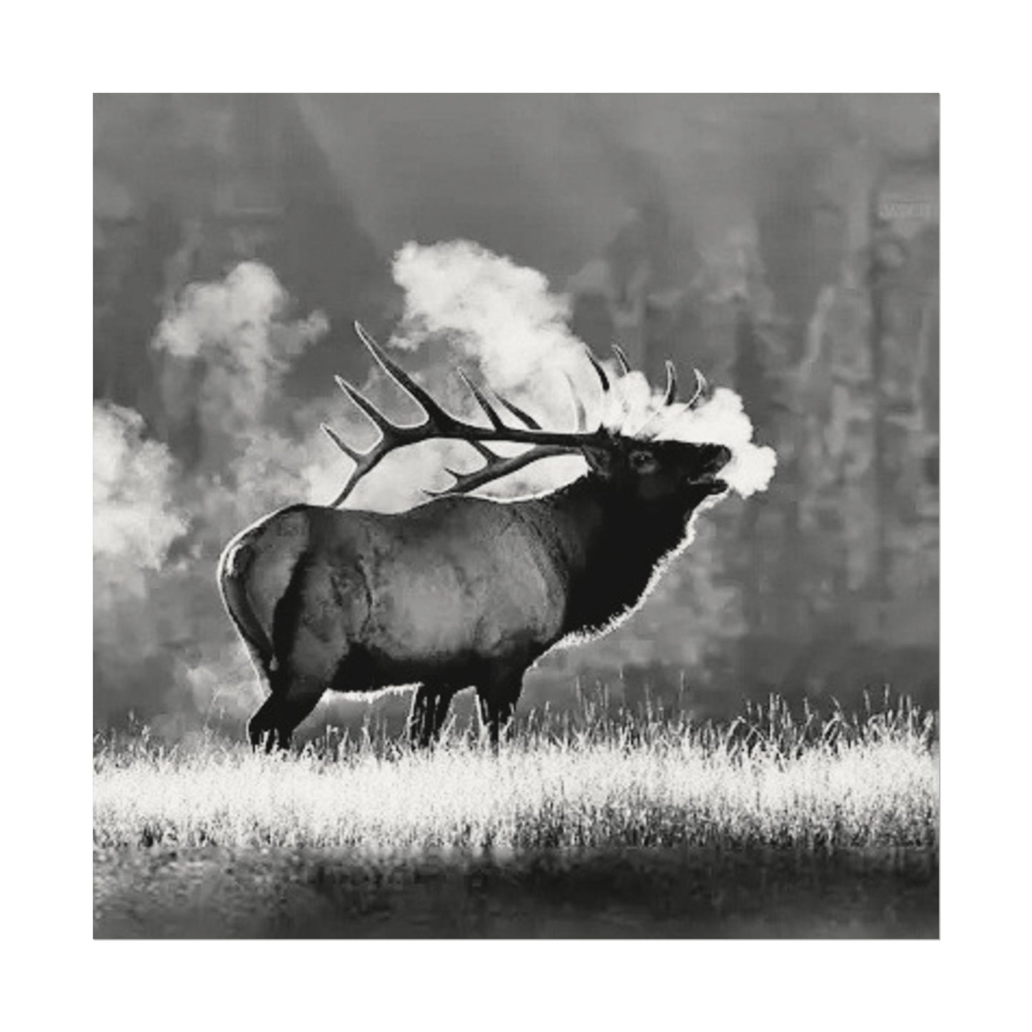 When Nature Calls– Western Textured Watercolor Matte Posters