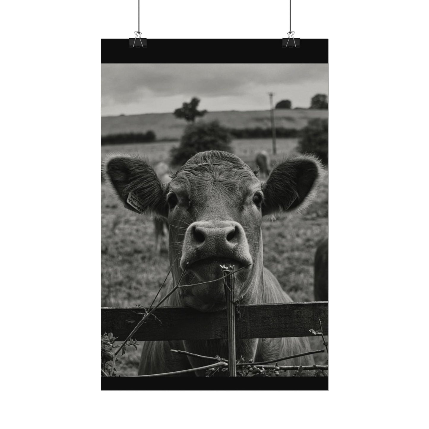 Rise & Shine – Western Textured Watercolor Matte Posters