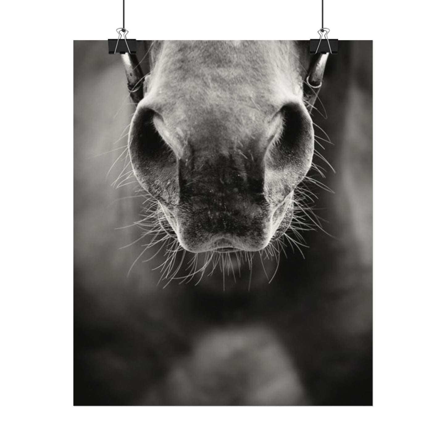 Be Patient Be Still – Western Textured Watercolor Matte Posters