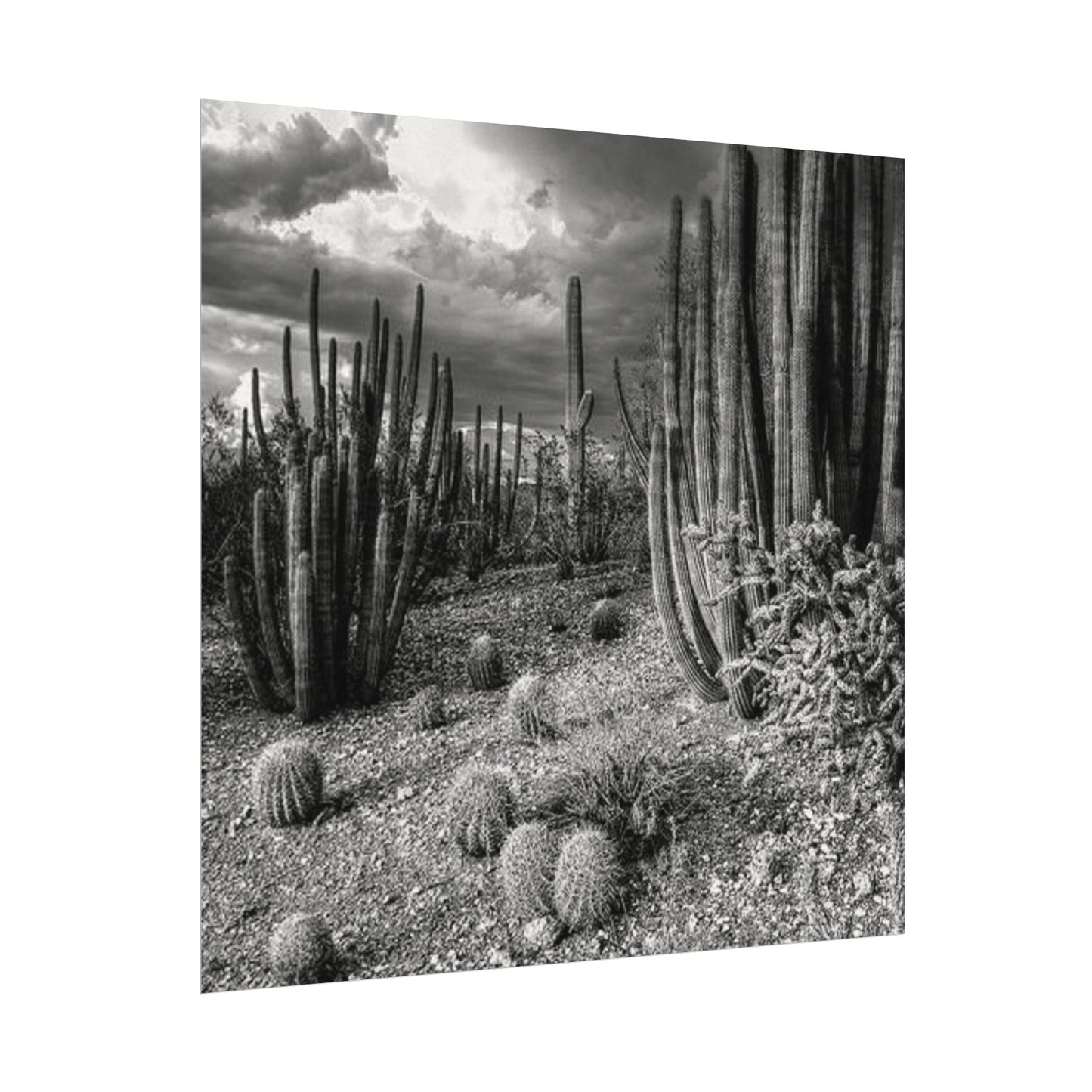 Desert Wastelands – Western Textured Watercolor Matte Posters