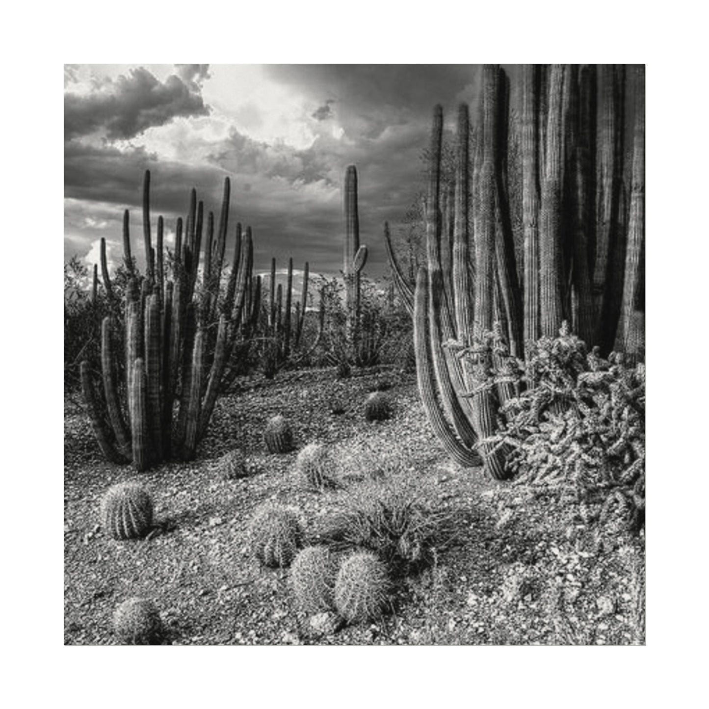 Desert Wastelands – Western Textured Watercolor Matte Posters