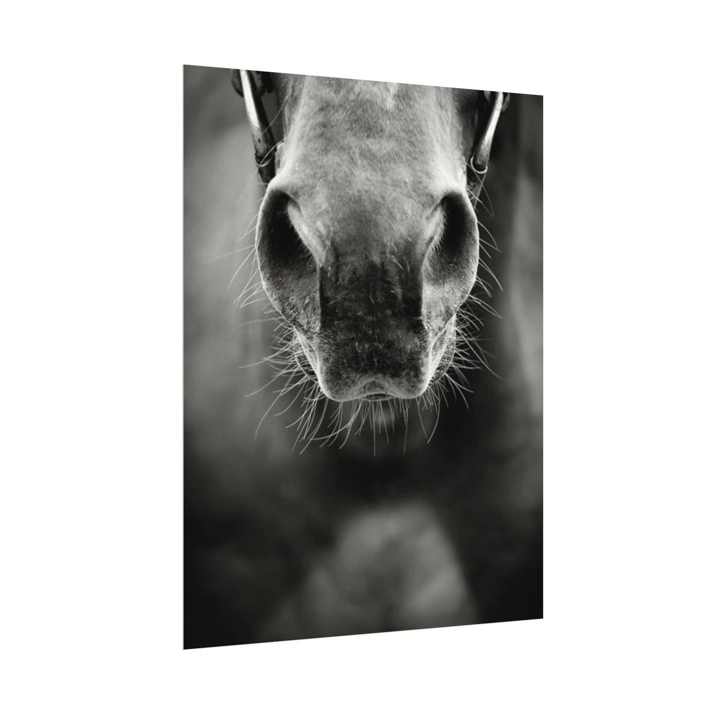 Be Patient Be Still – Western Textured Watercolor Matte Posters