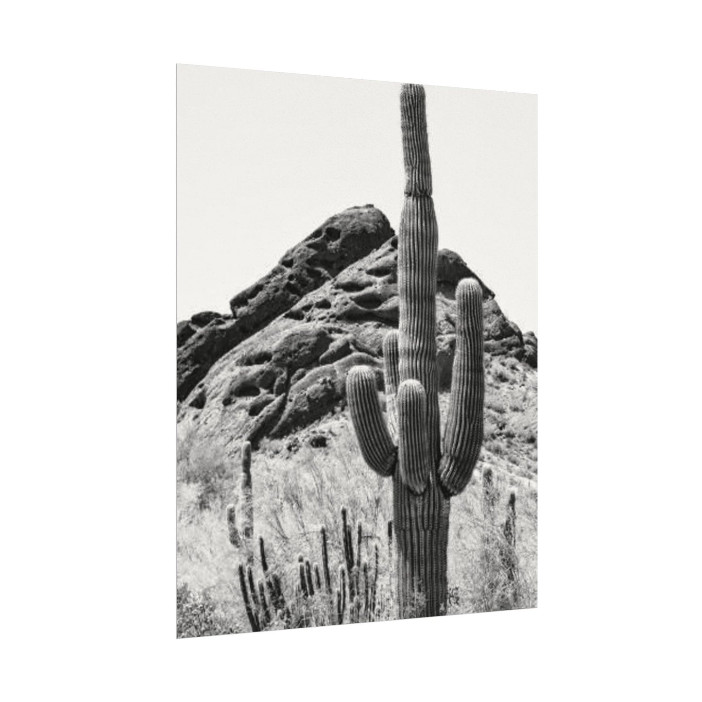 Reach For The Sky – Western Textured Watercolor Matte Posters