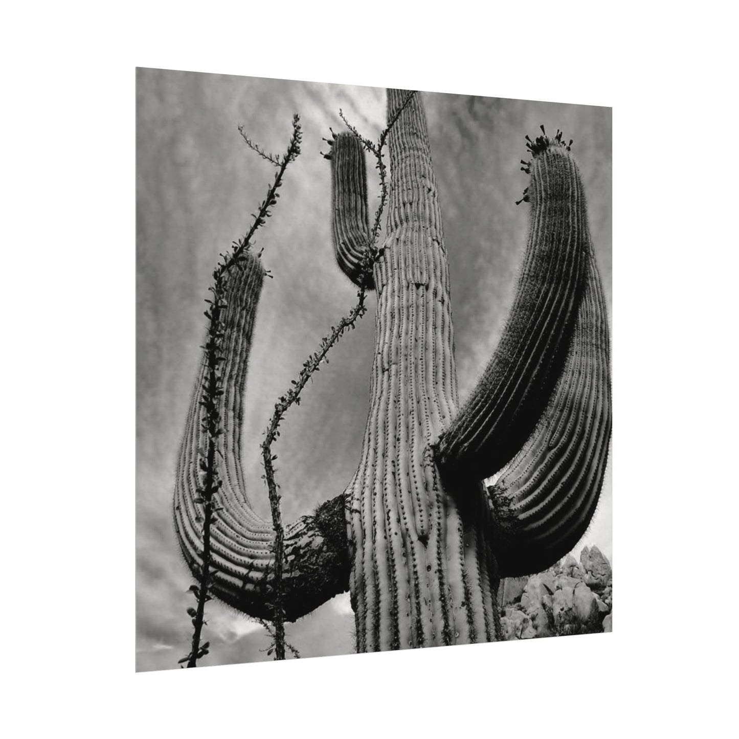 Desert Heights – Western Textured Watercolor Matte Posters