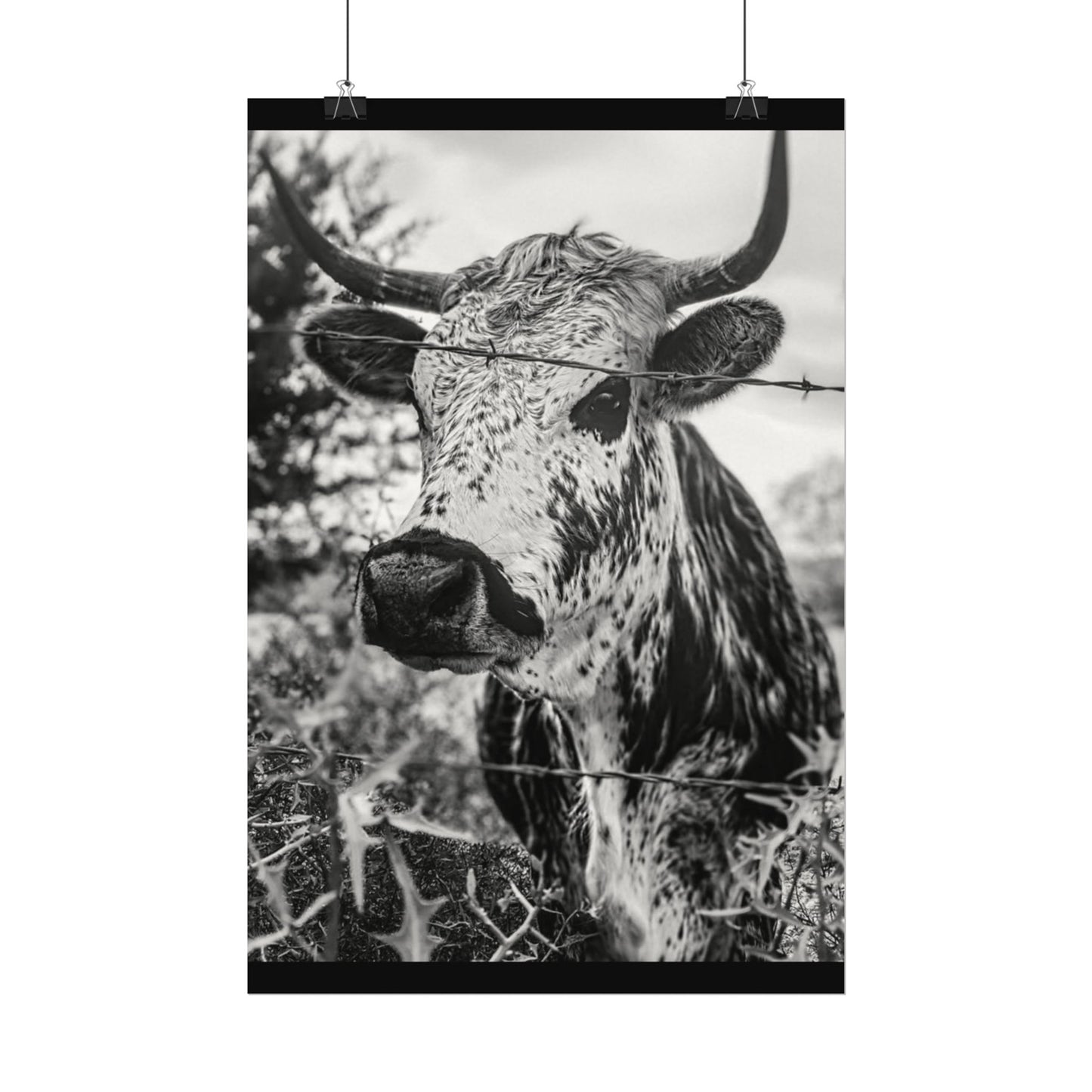 Barbed & Brave Western Textured Watercolor Matte Posters