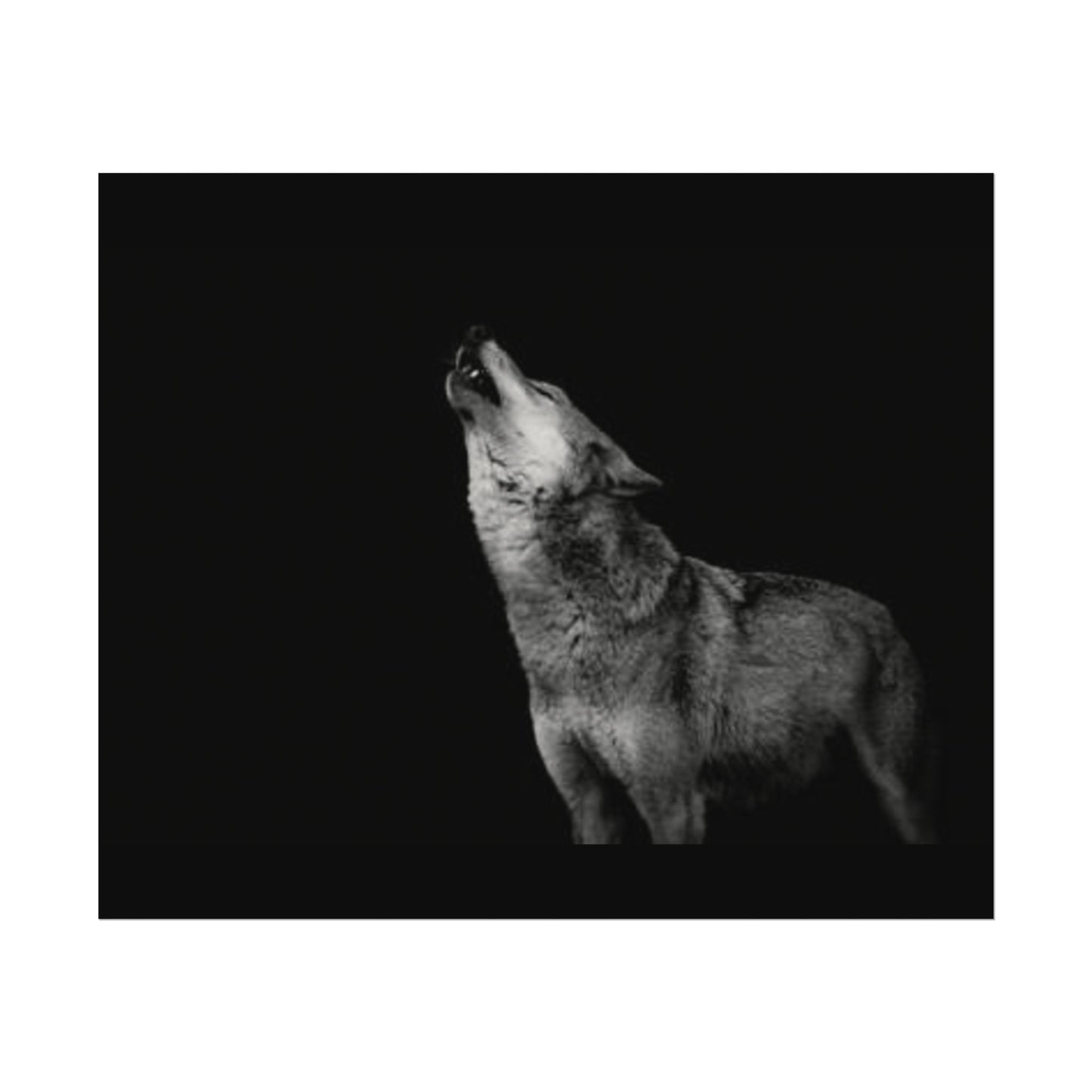 Howling At The Moon– Western Textured Watercolor Matte Posters