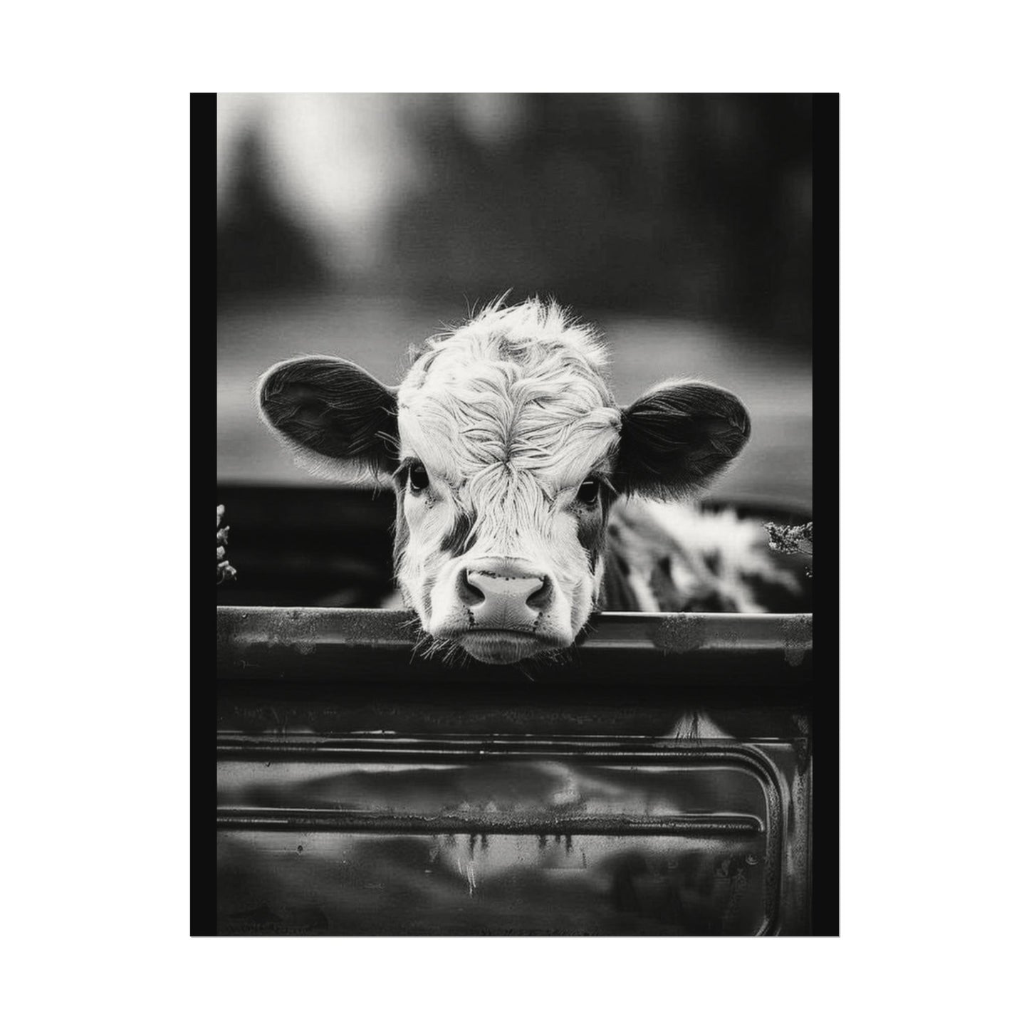 Back Seat Bovine – Western Textured Watercolor Matte Posters