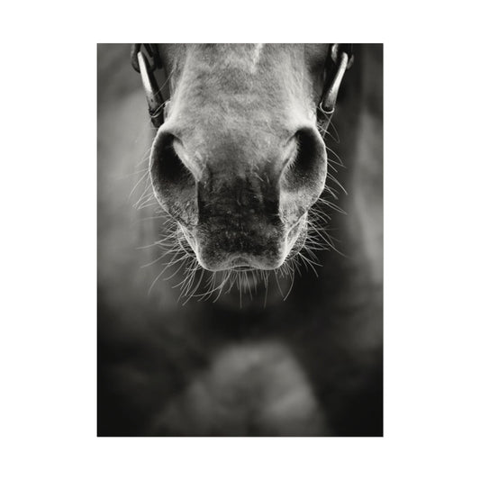 Be Patient Be Still – Western Textured Watercolor Matte Posters