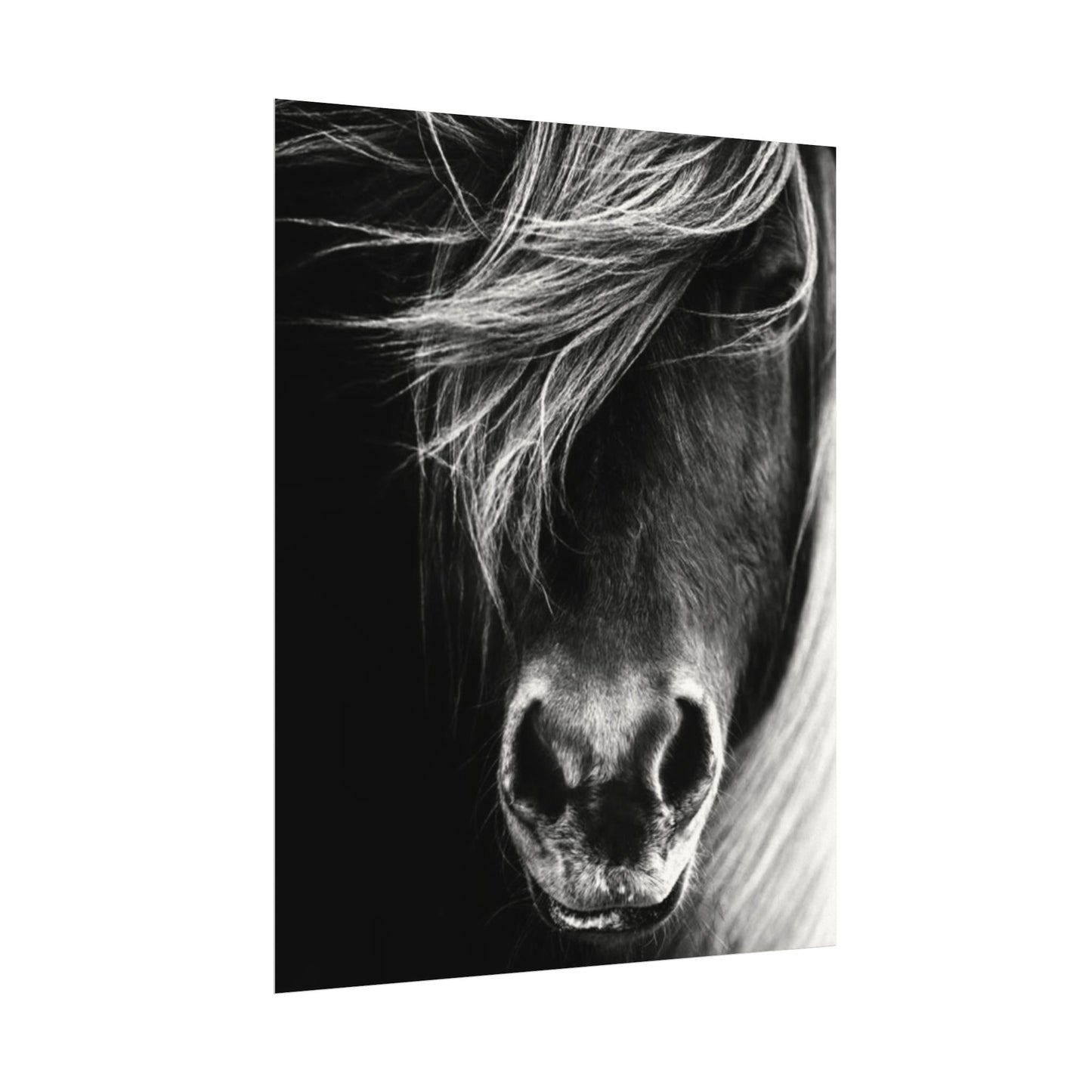 Wild Winds – Western Textured Watercolor Matte Posters