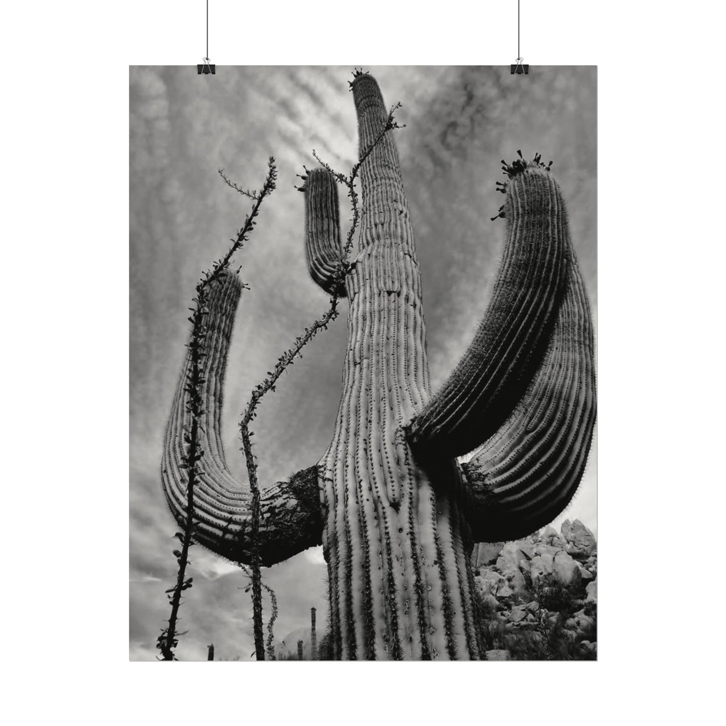 Desert Heights – Western Textured Watercolor Matte Posters