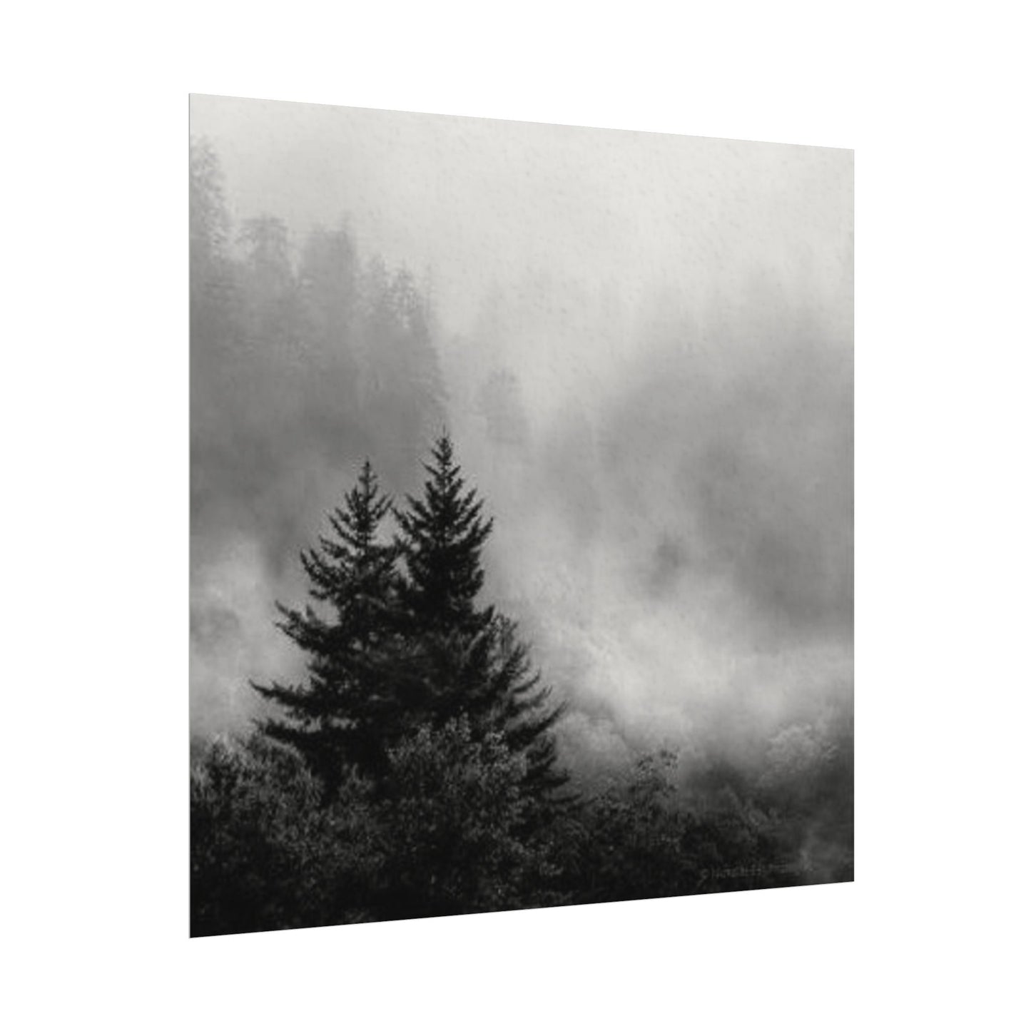 Forrest Through The Pines– Western Textured Watercolor Matte Posters