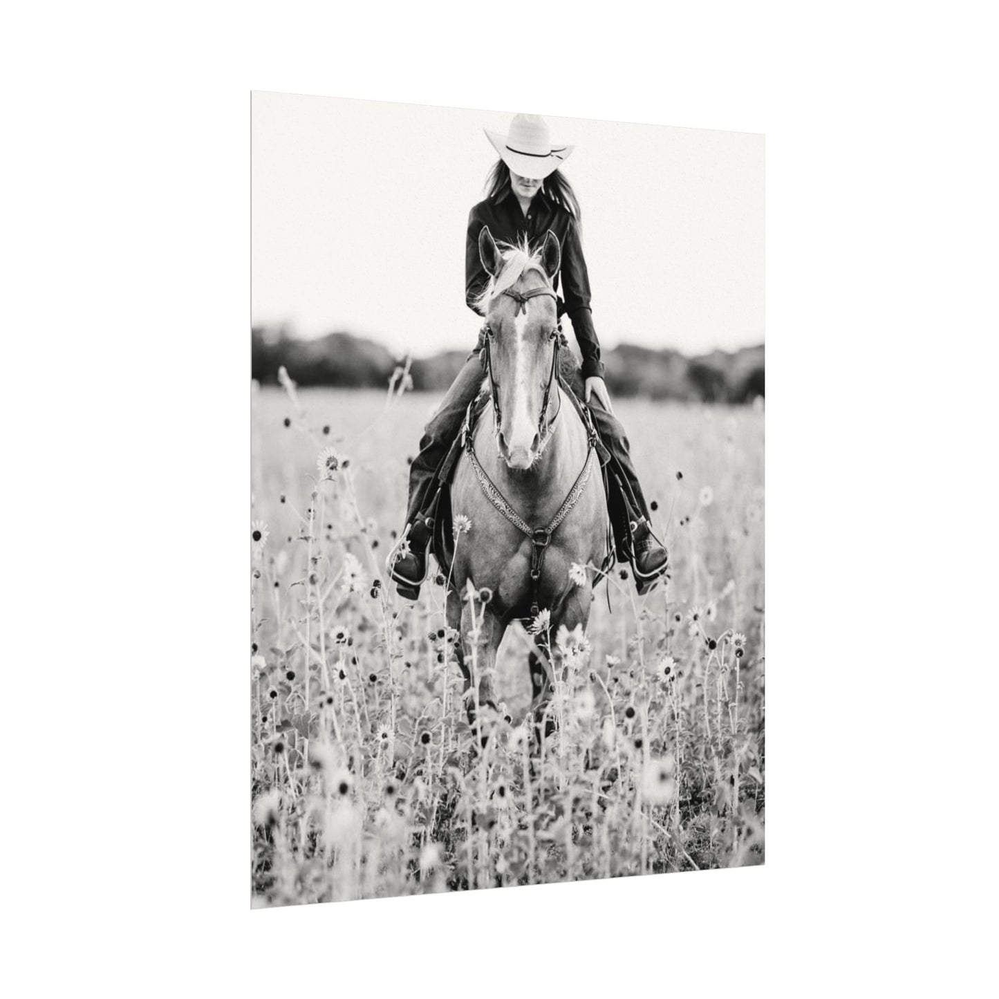 Summer Fields – Western Textured Watercolor Matte Posters