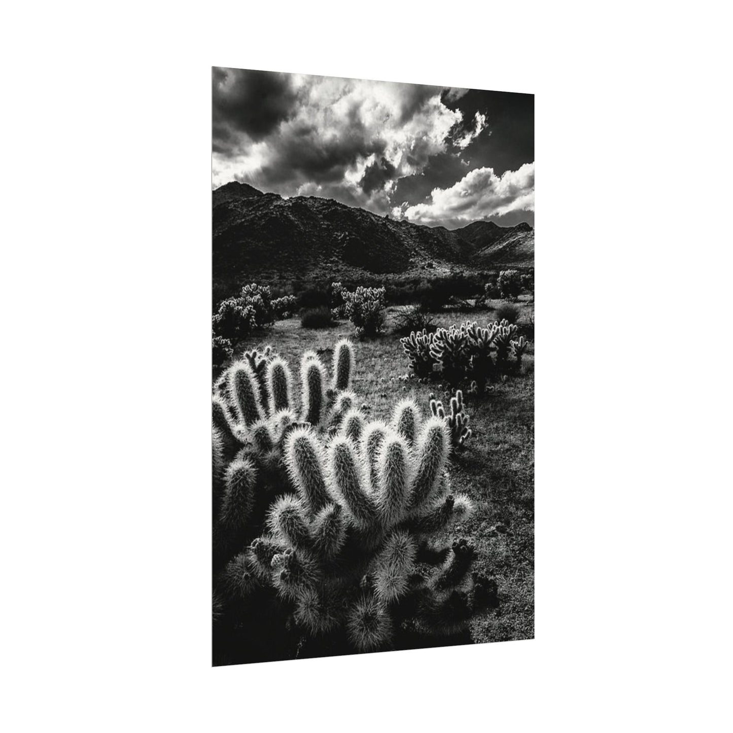 Western Desert Textured Watercolor Matte Posters