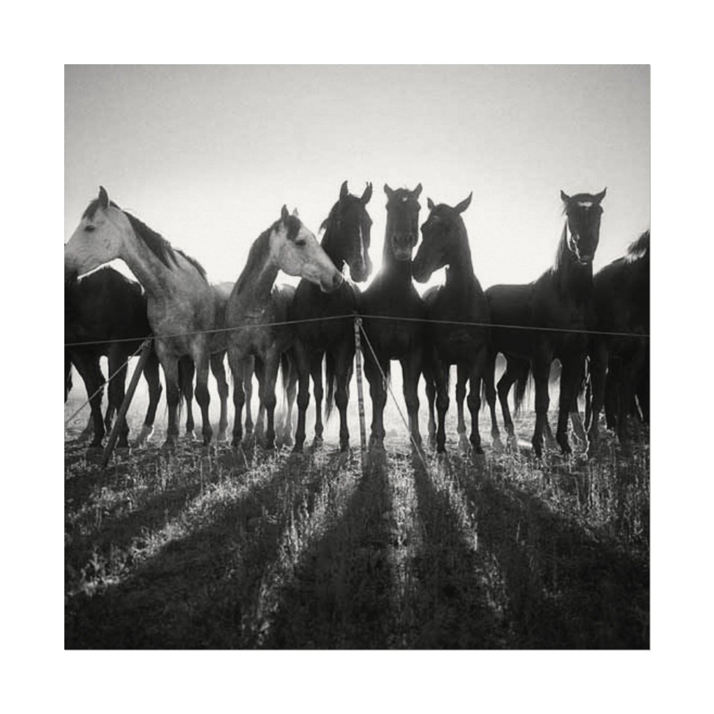 When Dawn Breaks – Western Textured Watercolor Matte Posters