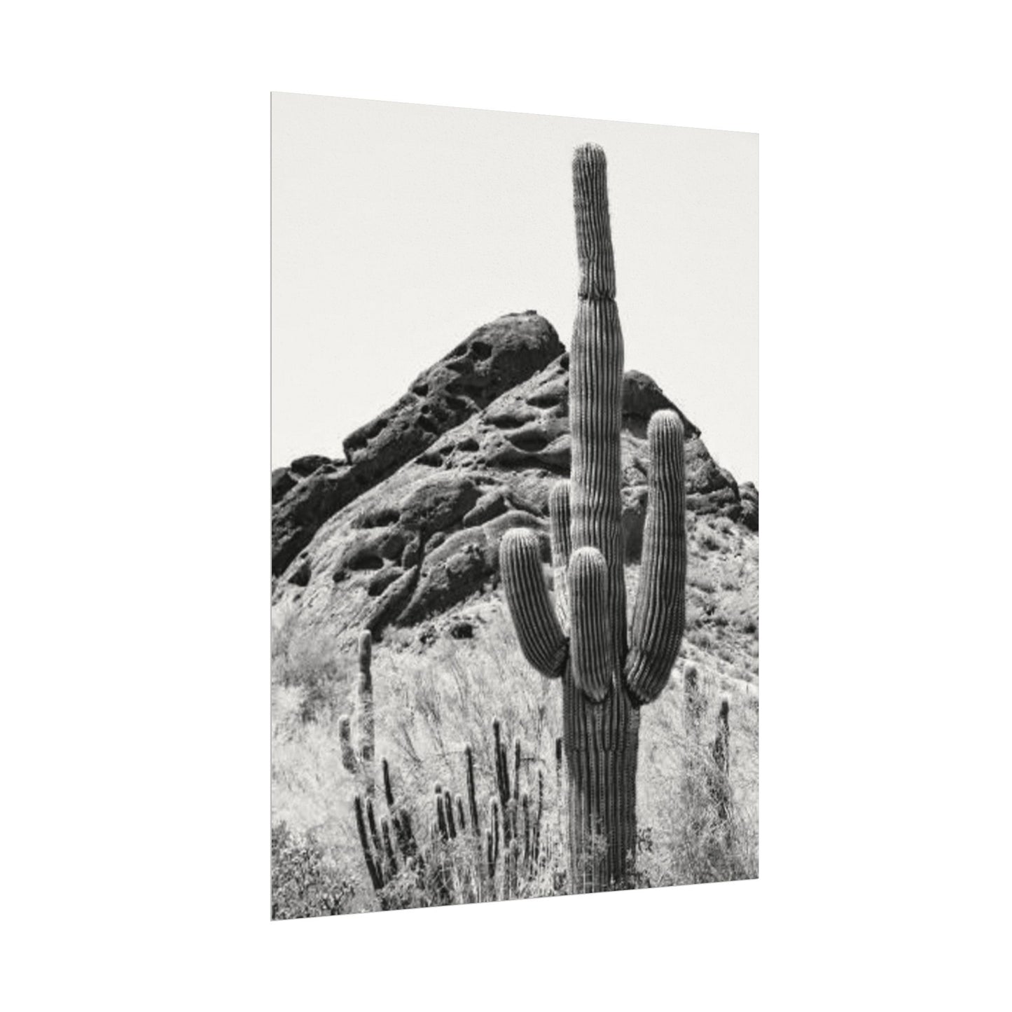 Reach For The Sky – Western Textured Watercolor Matte Posters