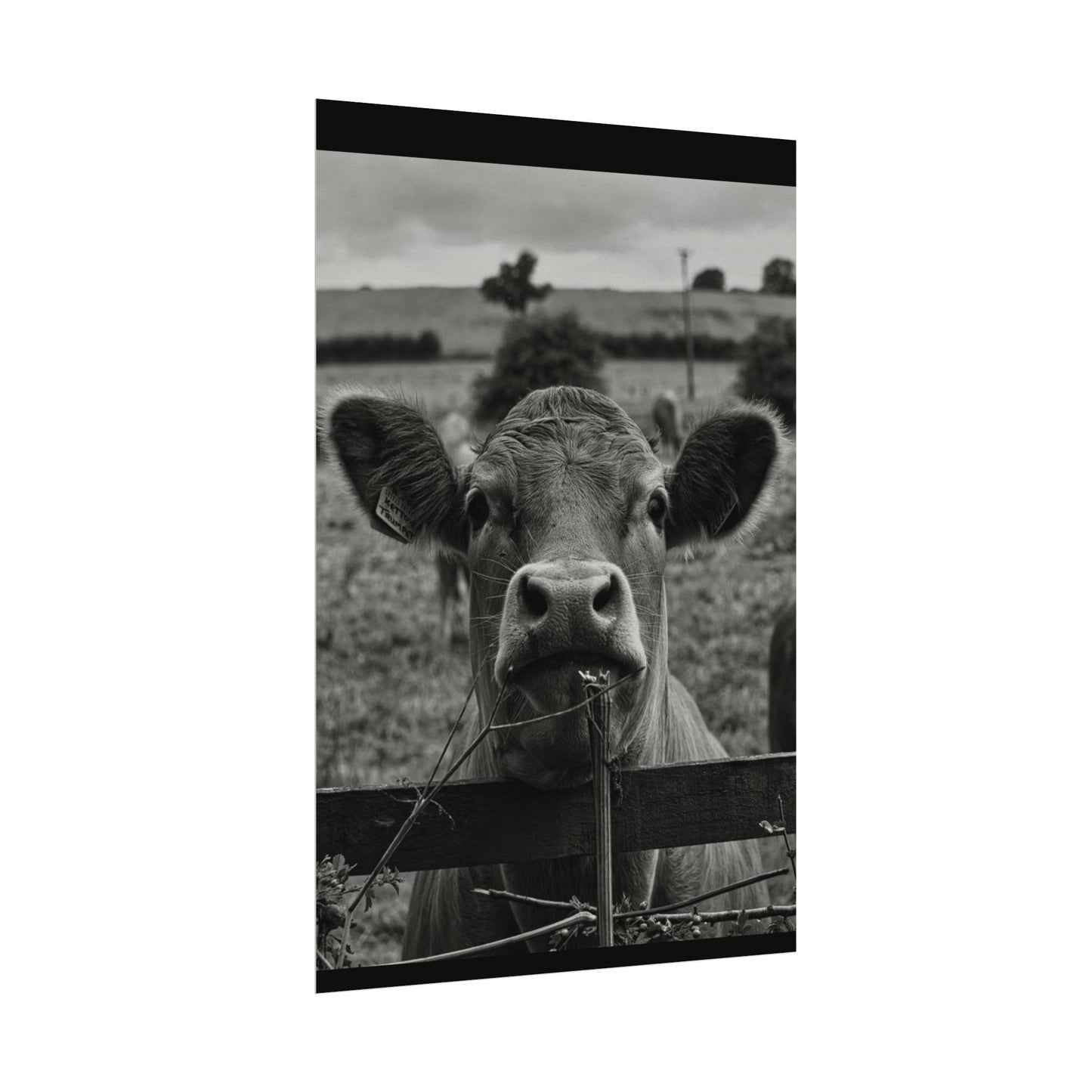 Rise & Shine – Western Textured Watercolor Matte Posters