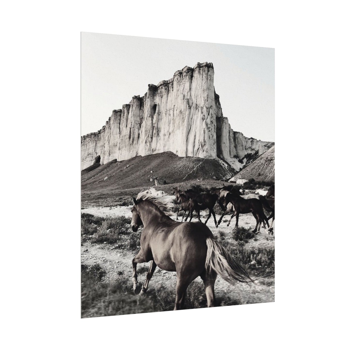 Untamed Spirit– Western Textured Watercolor Matte Posters
