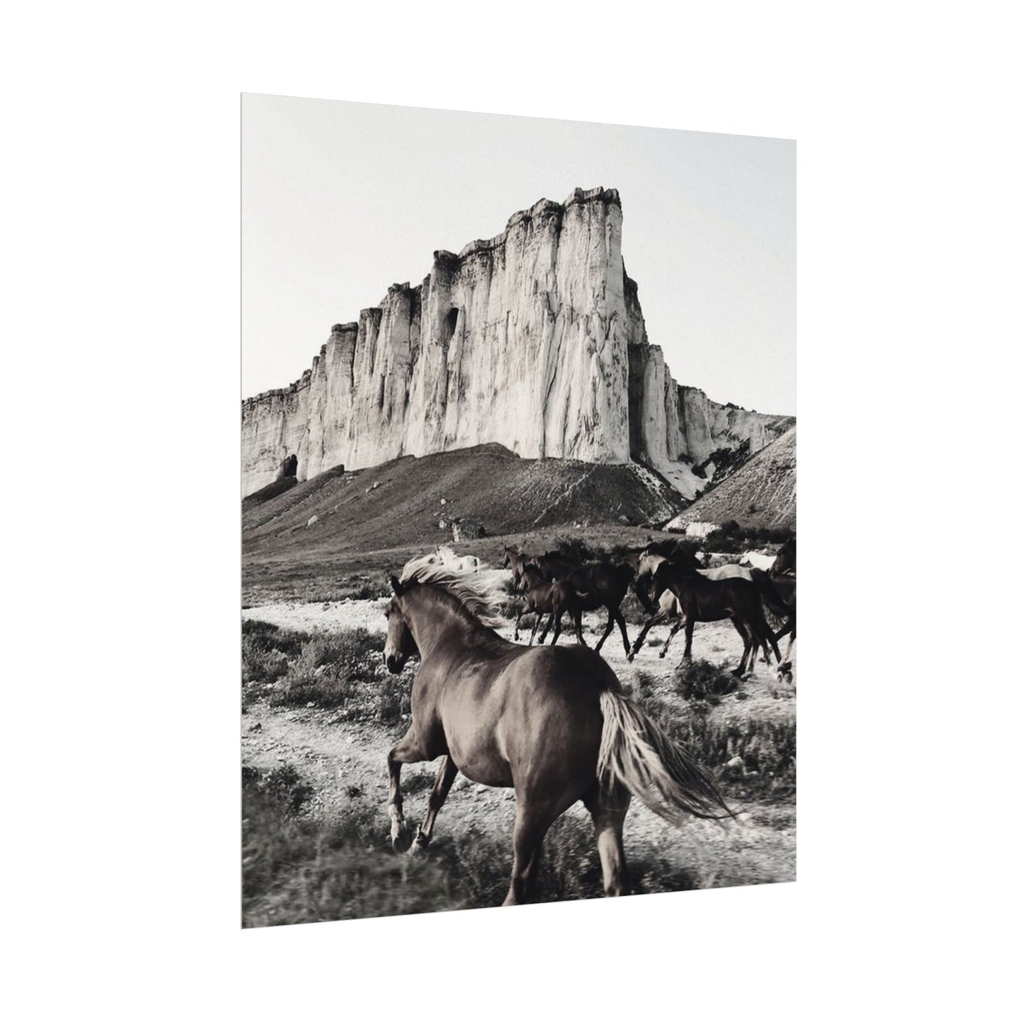 Untamed Spirit– Western Textured Watercolor Matte Posters