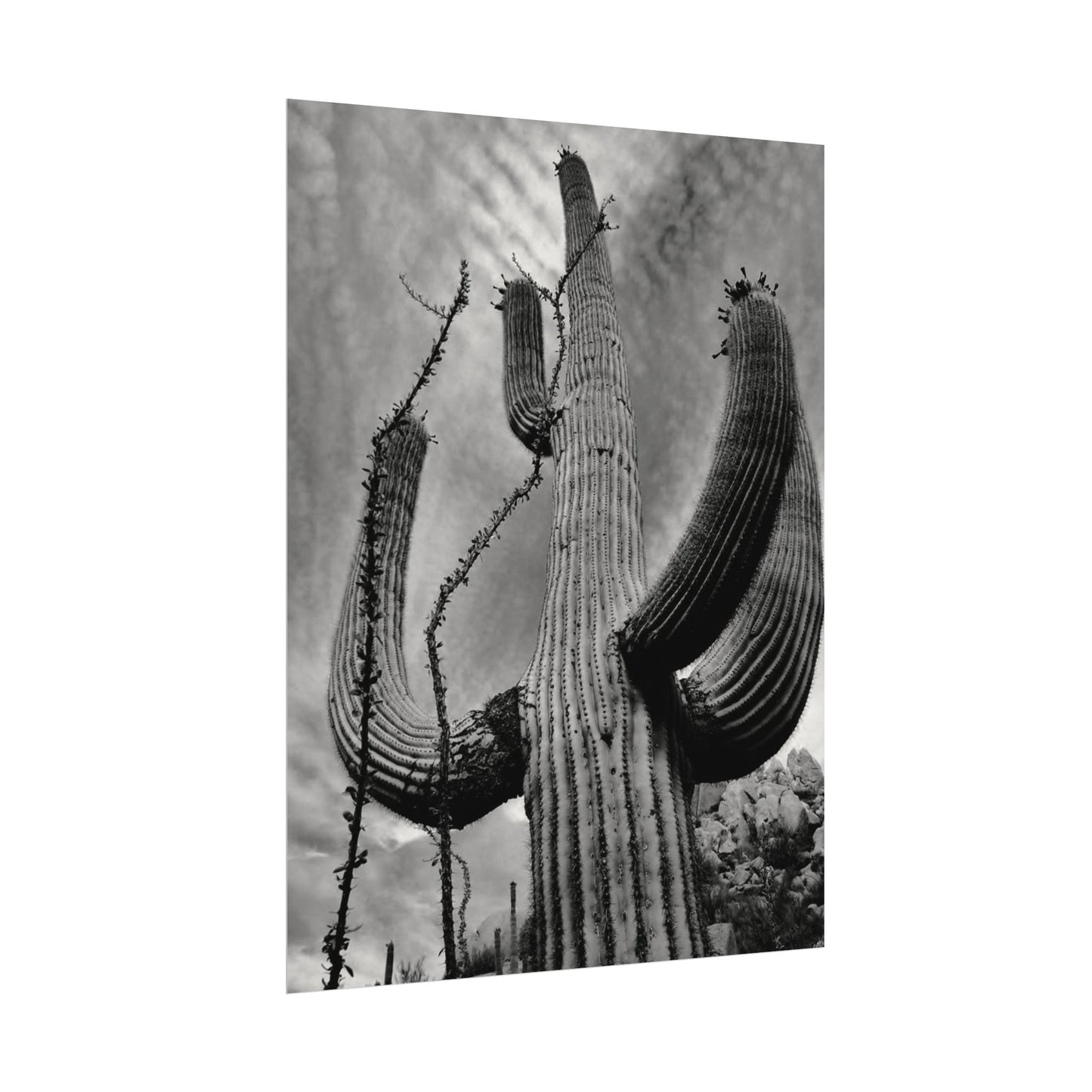 Desert Heights – Western Textured Watercolor Matte Posters