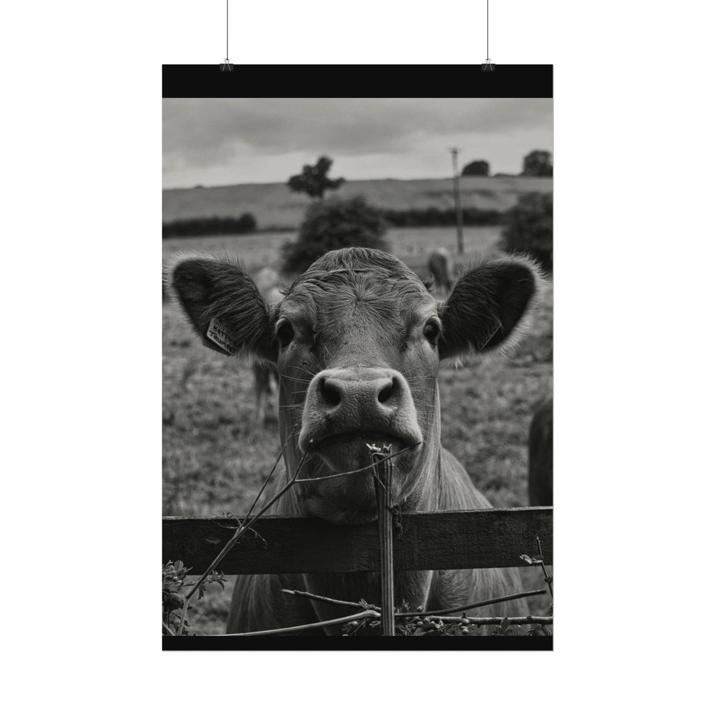 Rise & Shine – Western Textured Watercolor Matte Posters