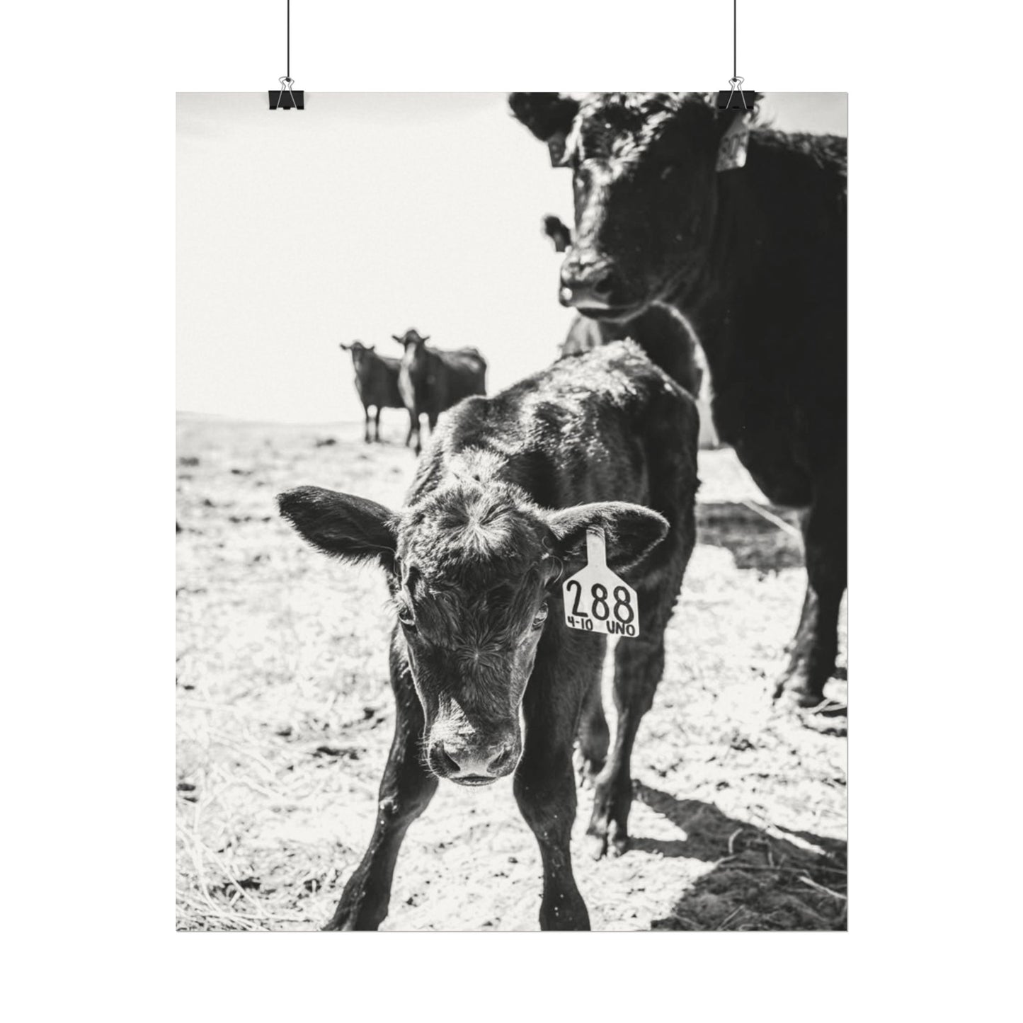 The Standing Legacy – Western Textured Watercolor Matte Posters