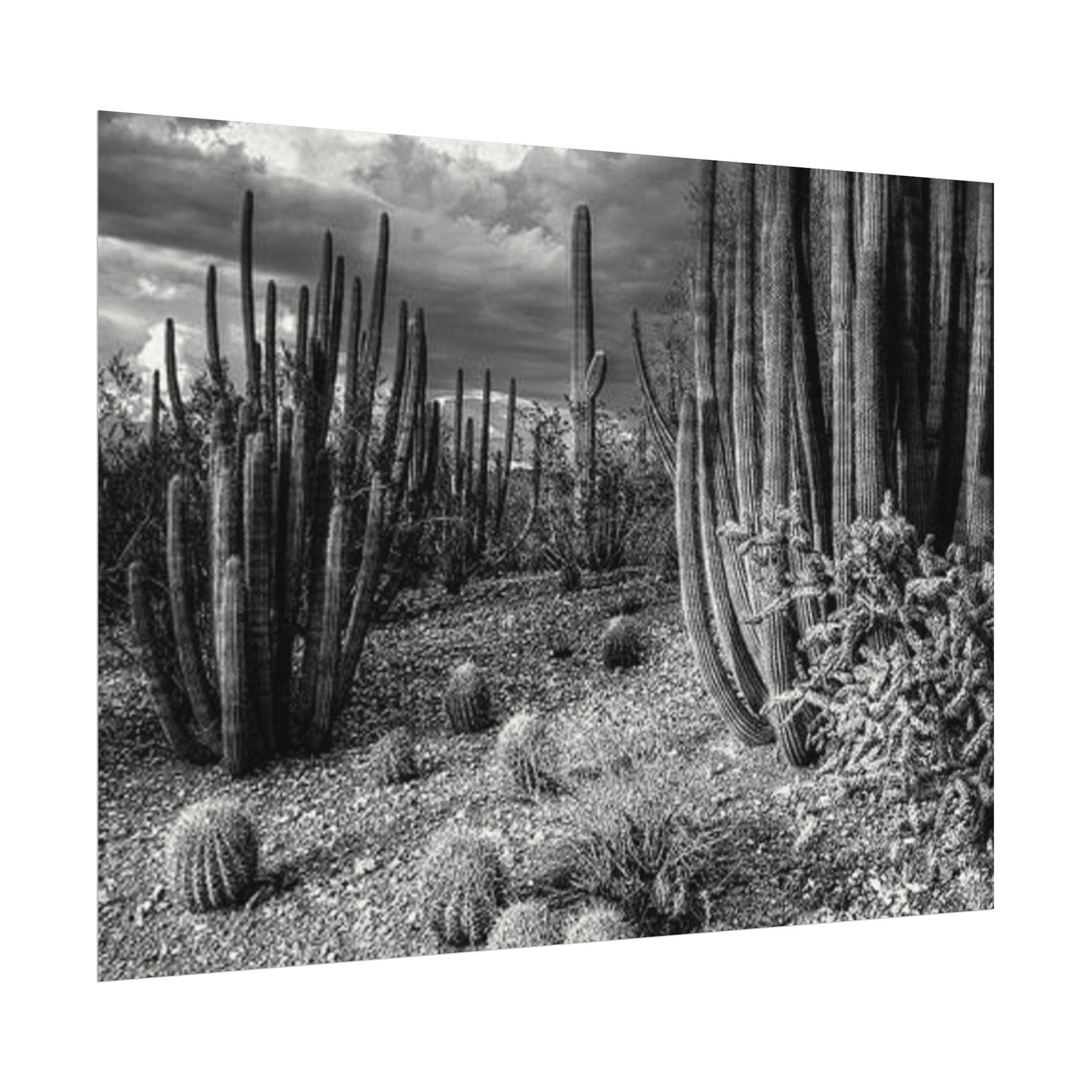 Desert Wastelands – Western Textured Watercolor Matte Posters