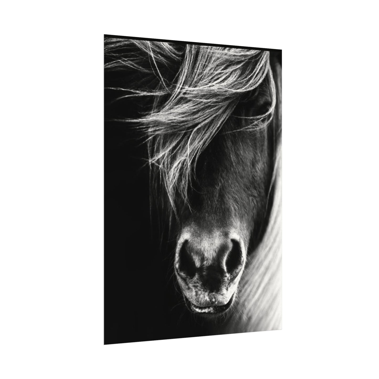 Wild Winds – Western Textured Watercolor Matte Posters