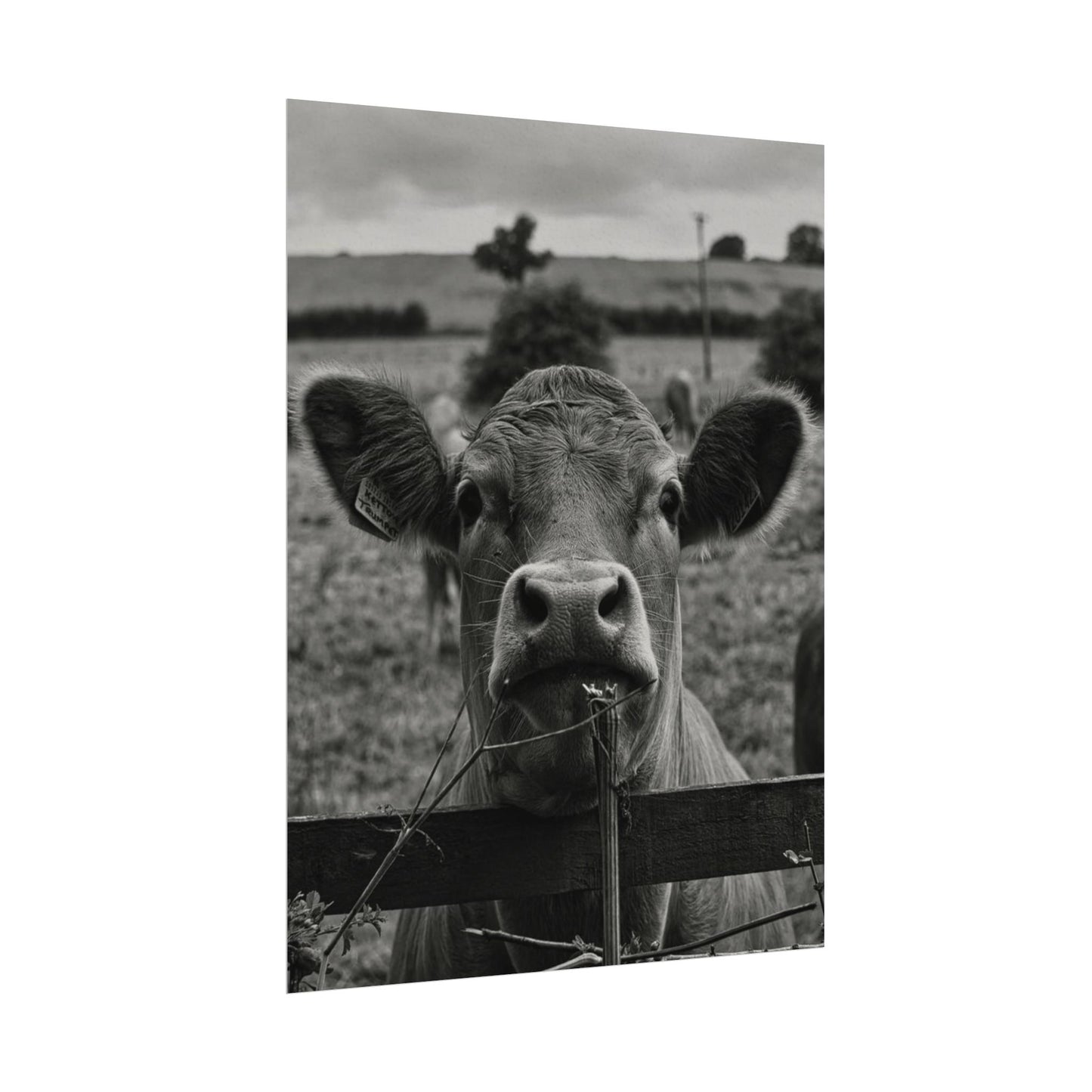 Rise & Shine – Western Textured Watercolor Matte Posters