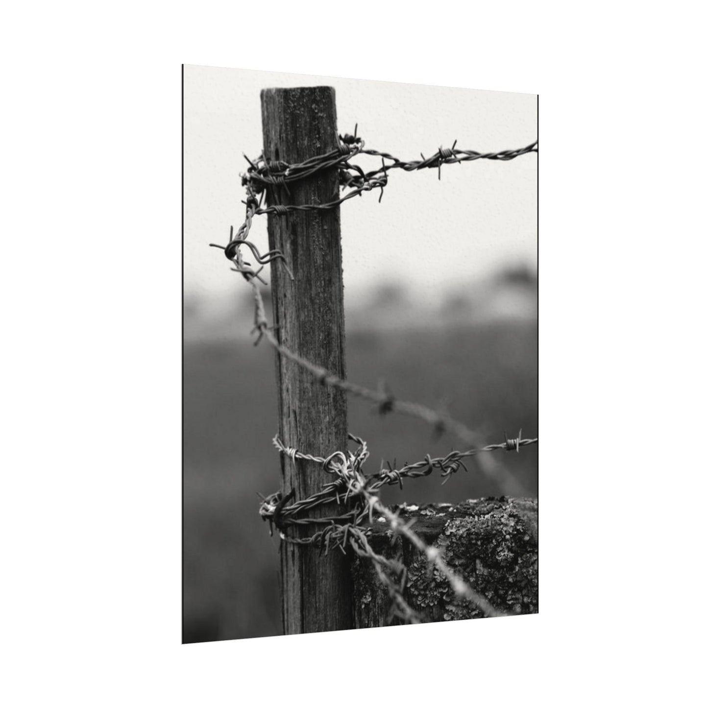 Tough As Nails – Western Textured Watercolor Matte Posters