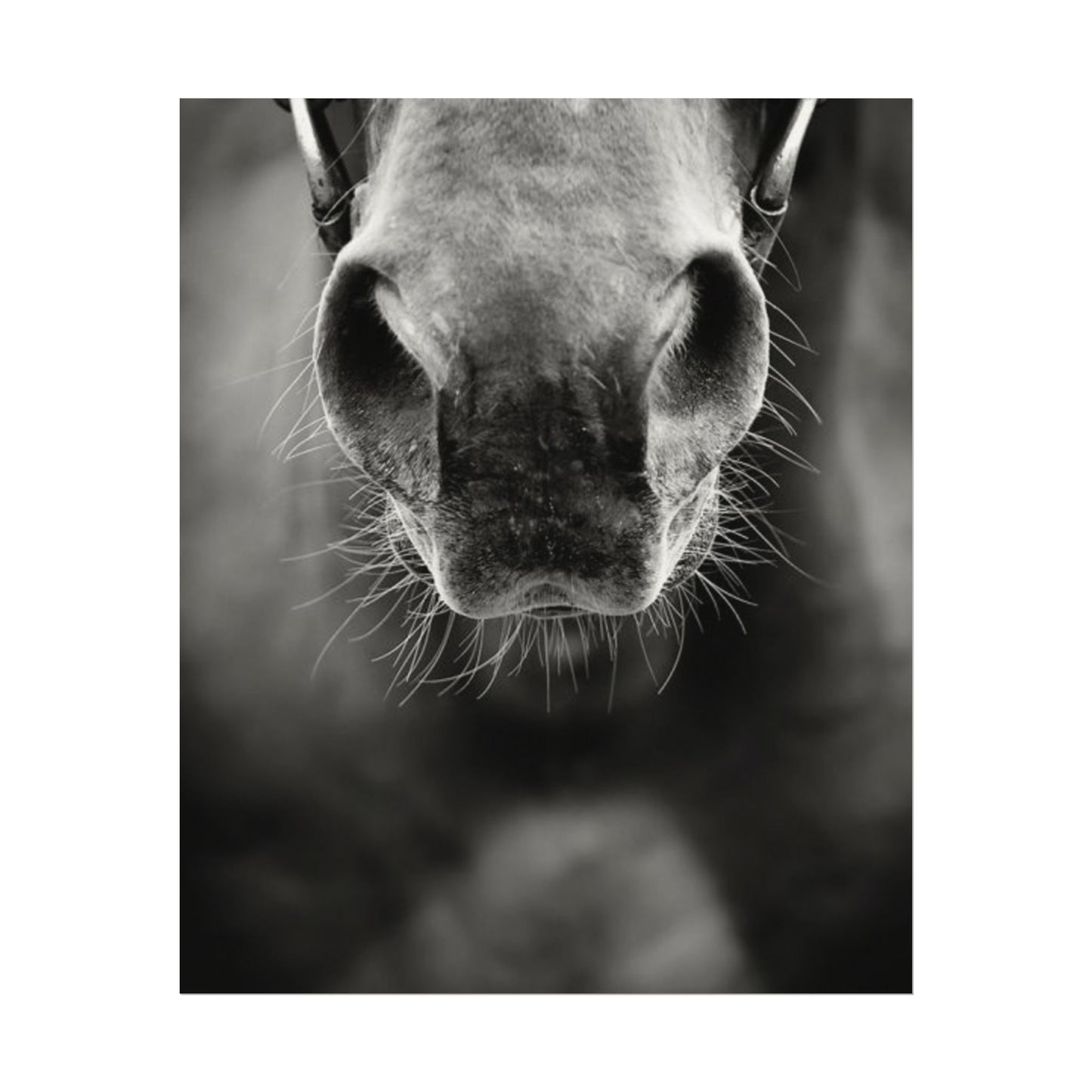 Be Patient Be Still – Western Textured Watercolor Matte Posters