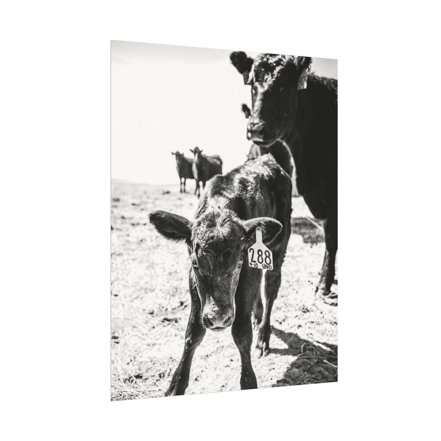 The Standing Legacy – Western Textured Watercolor Matte Posters