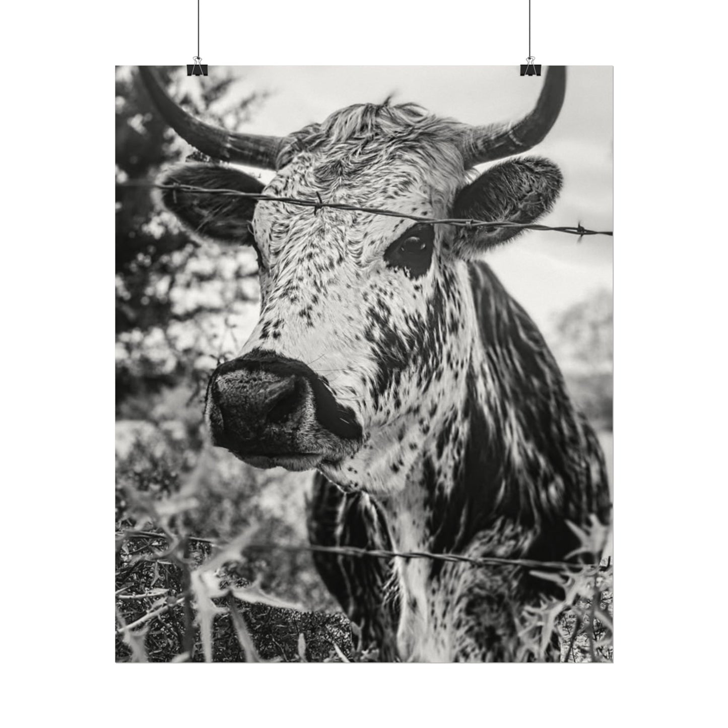 Barbed & Brave Western Textured Watercolor Matte Posters