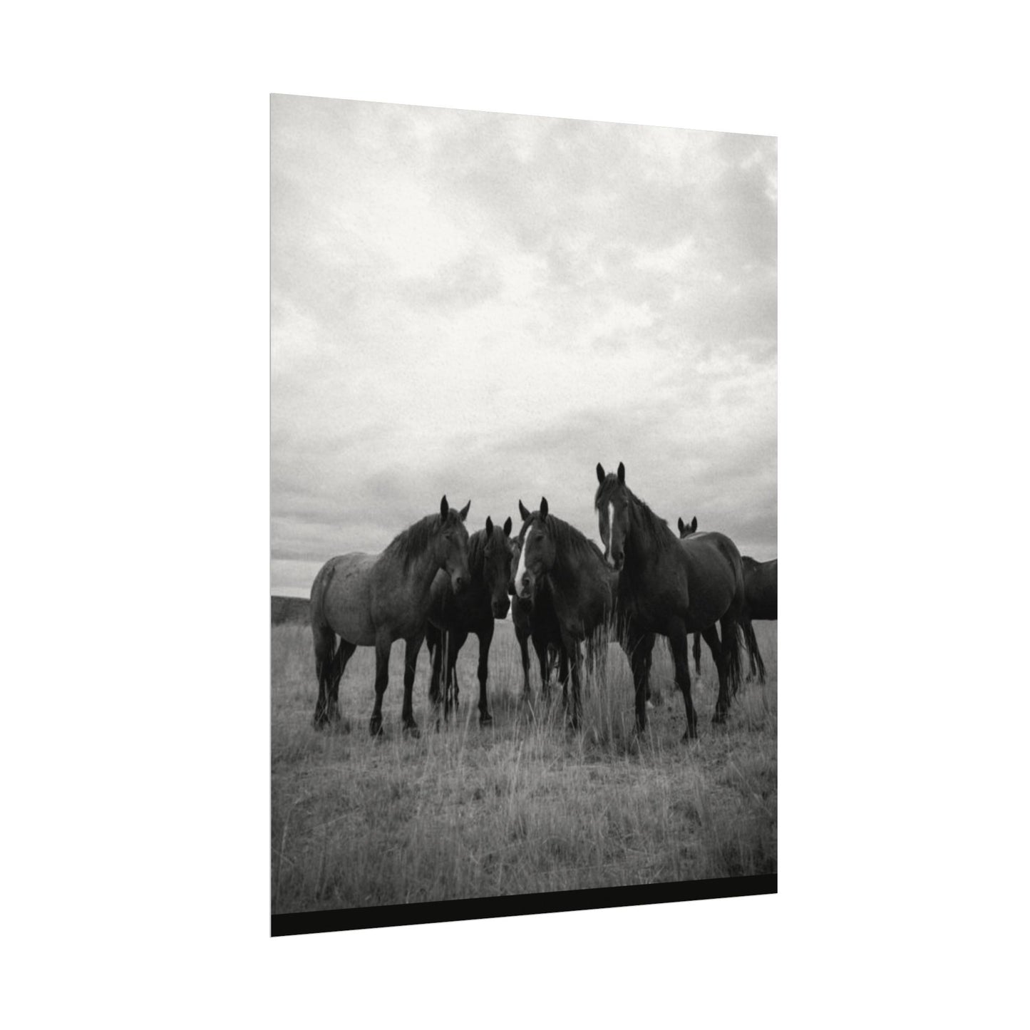 Unity In Numbers – Western Textured Watercolor Matte Posters